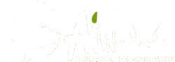 DEV - AILLWEE - Aillwee-Logo copy